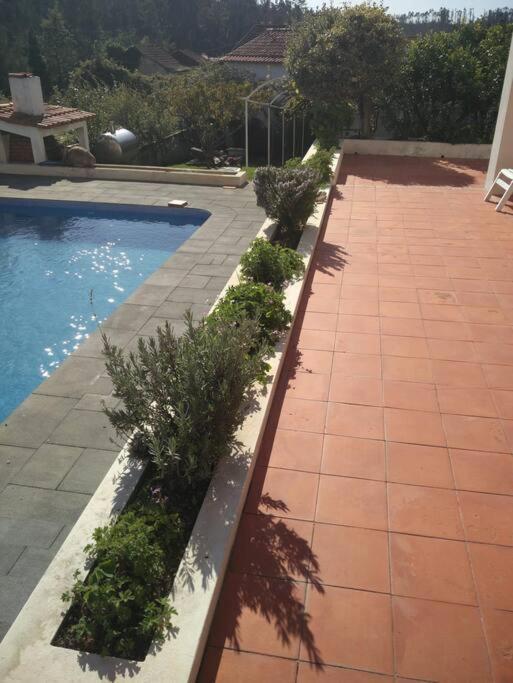 Citrus Tree House, Private Pool And Garden. Vila Angeja Exterior foto